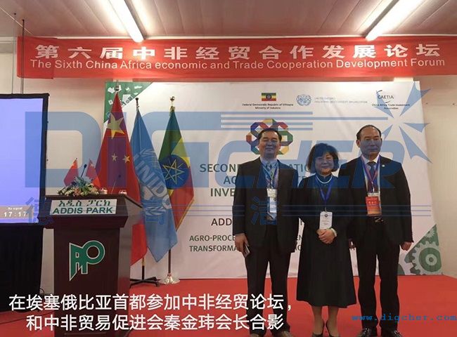 中非經貿論壇合影